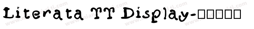 Literata TT Display字体转换